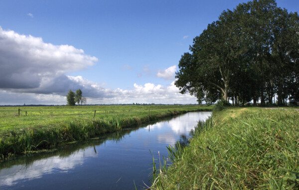 Polderlandschap beekje, grasveld en bomen op de achtergrond in omgeving Utrecht